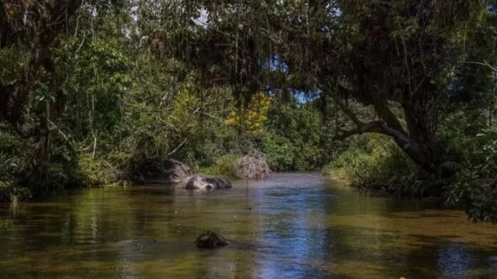 Uma das iniciativas do programa sera a criacao de um roteiro com atrativos turisticos em municipios como Itaguai Mangaratiba e Seropedica Divulgacao 696x391 1 jpg